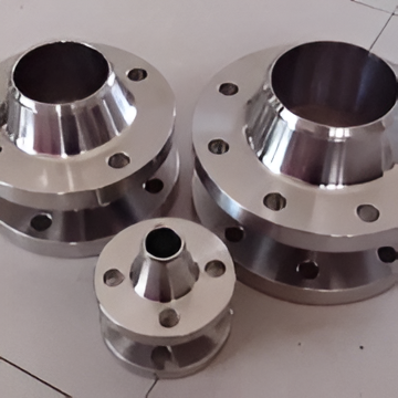 SS Flanges