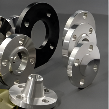 SS Flanges